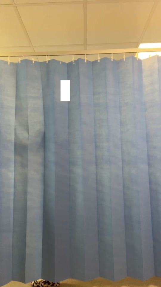 Post 3 by Shalom | PA living on TikTok (video)