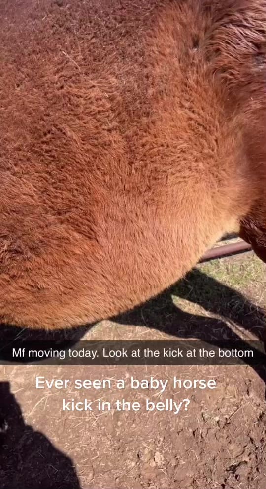 Post 2 by user6665137314648 on TikTok (video)