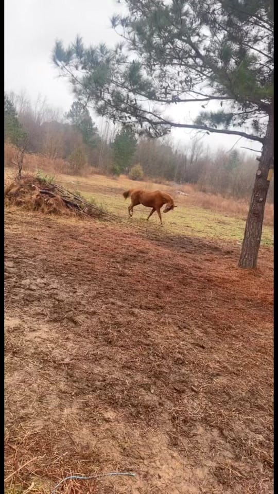 Post 3 by user6665137314648 on TikTok (video)