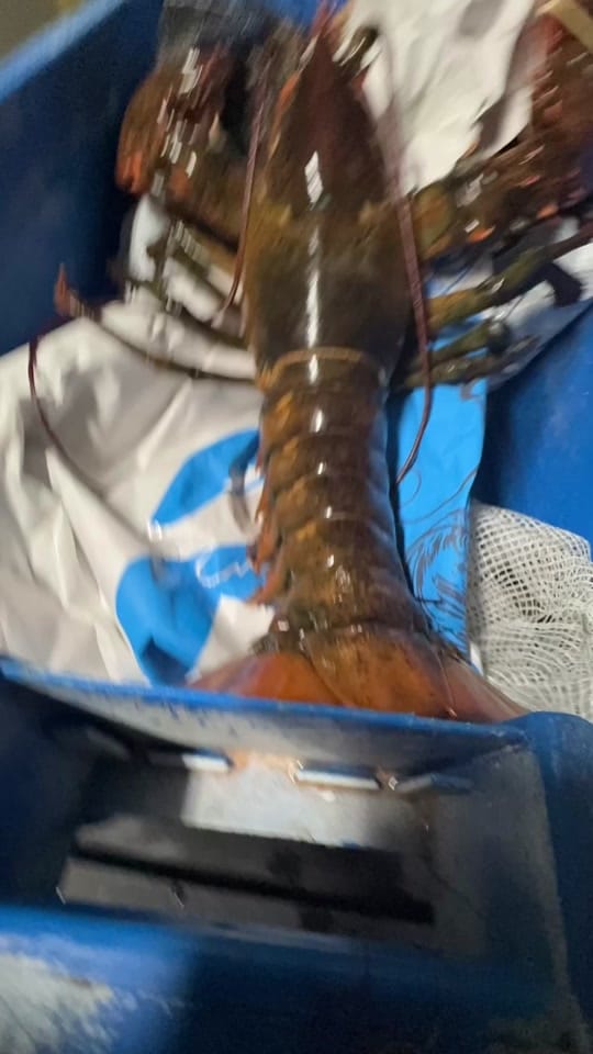 Post 1 by chefkyletimpson on TikTok (video)