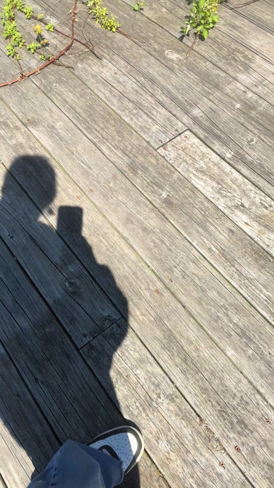 Post 3 by Diosa on TikTok (video)