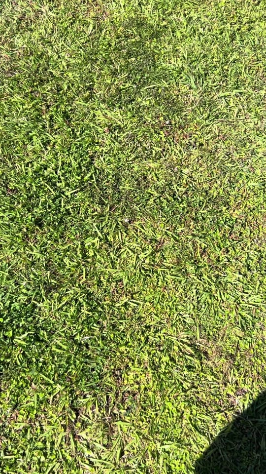 Post 7 by ChefJay985 on TikTok (video)