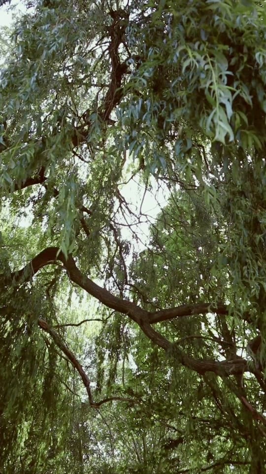 Post 1 by 🎀 Life with S 🎀 on TikTok (video)