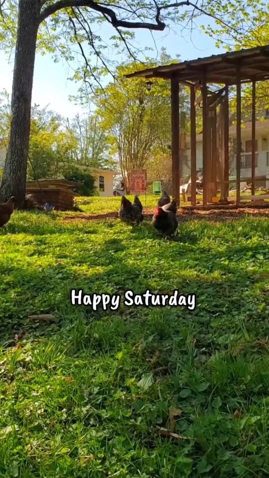 Post 9 by Andrea Spencer on TikTok (video)