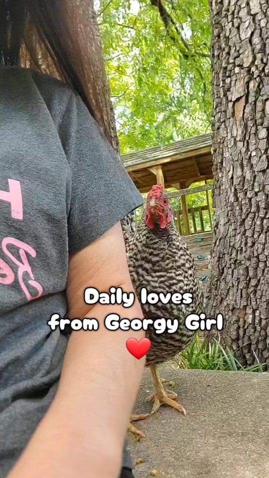 Post 2 by Andrea Spencer on TikTok (video)