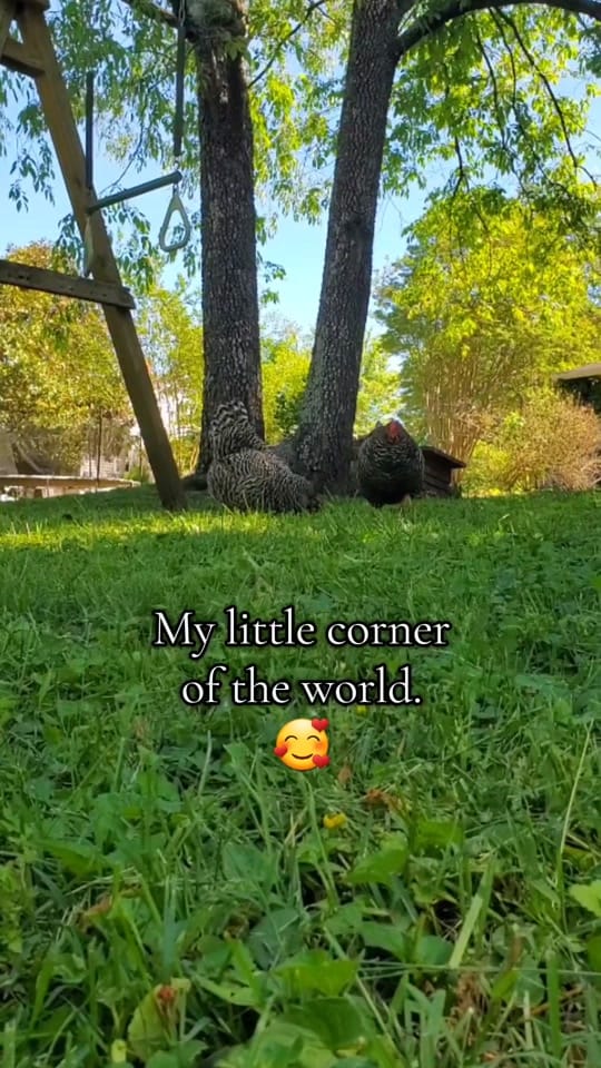 Post 3 by Andrea Spencer on TikTok (video)