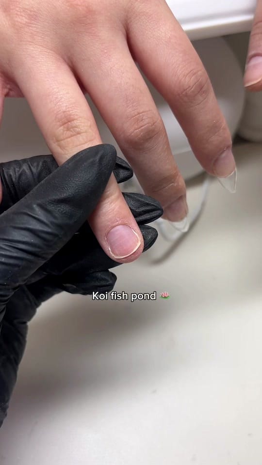 Post 6 by Fran on TikTok (video)