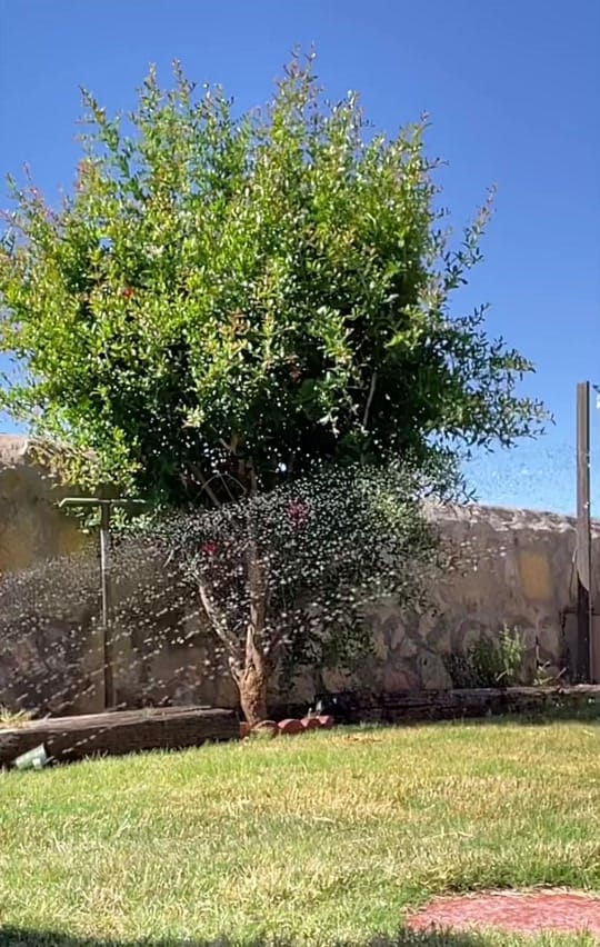 Post 7 by 🤘🚴‍♂️Ernie🚴‍♂️🤘 on TikTok (video)