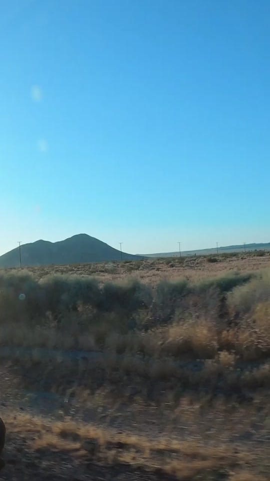 Post 6 by Cookiando on TikTok (video)