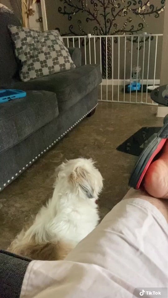 Post 7 by Cookiando on TikTok (video)