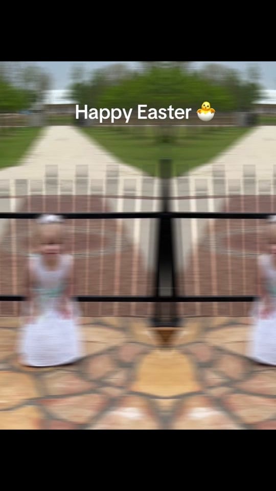 Post 2 by Tonya 🌸💕 on TikTok (video)