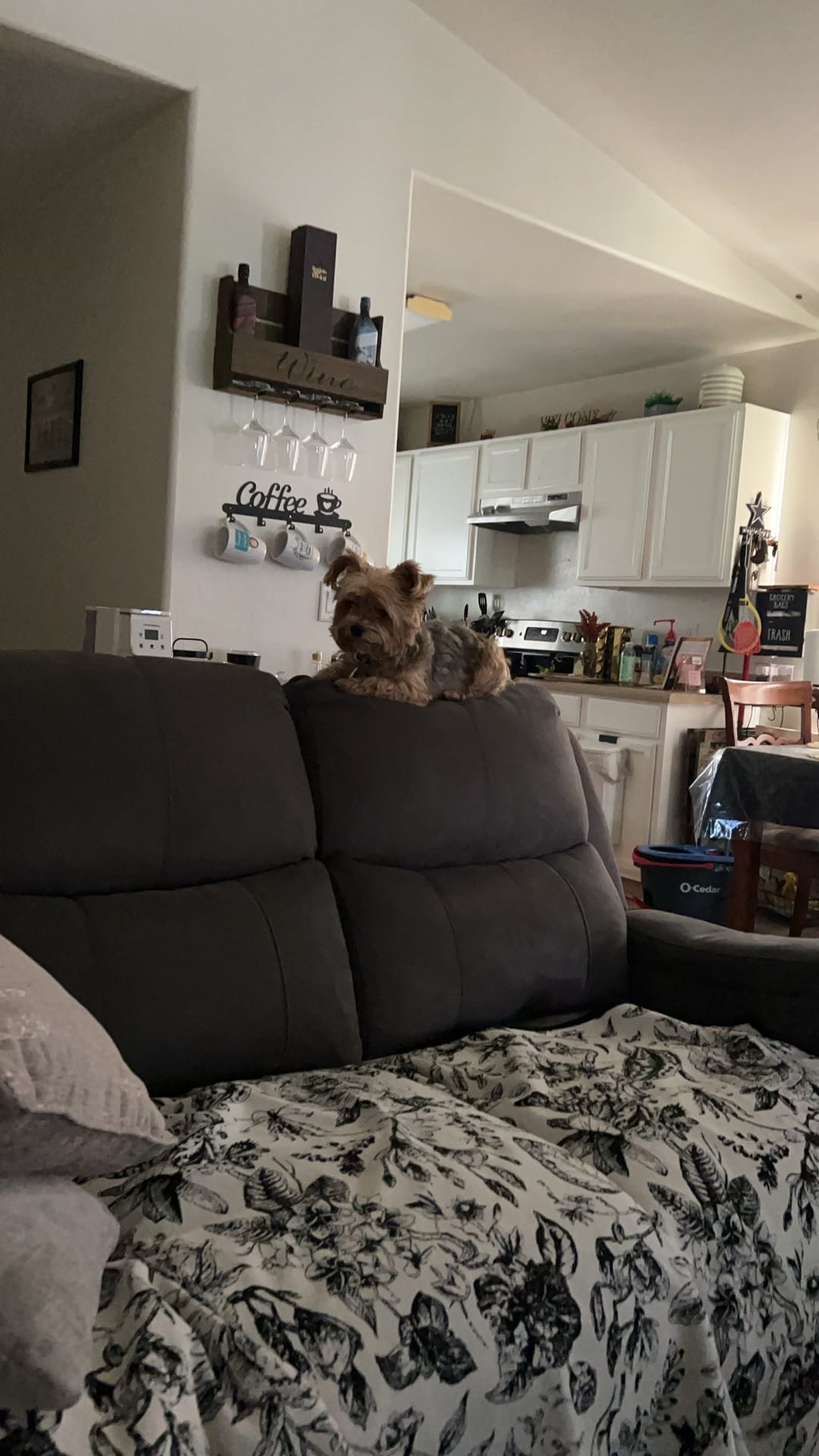 Post 9 by ElviaHerr🫦❌❤️ on TikTok (video)