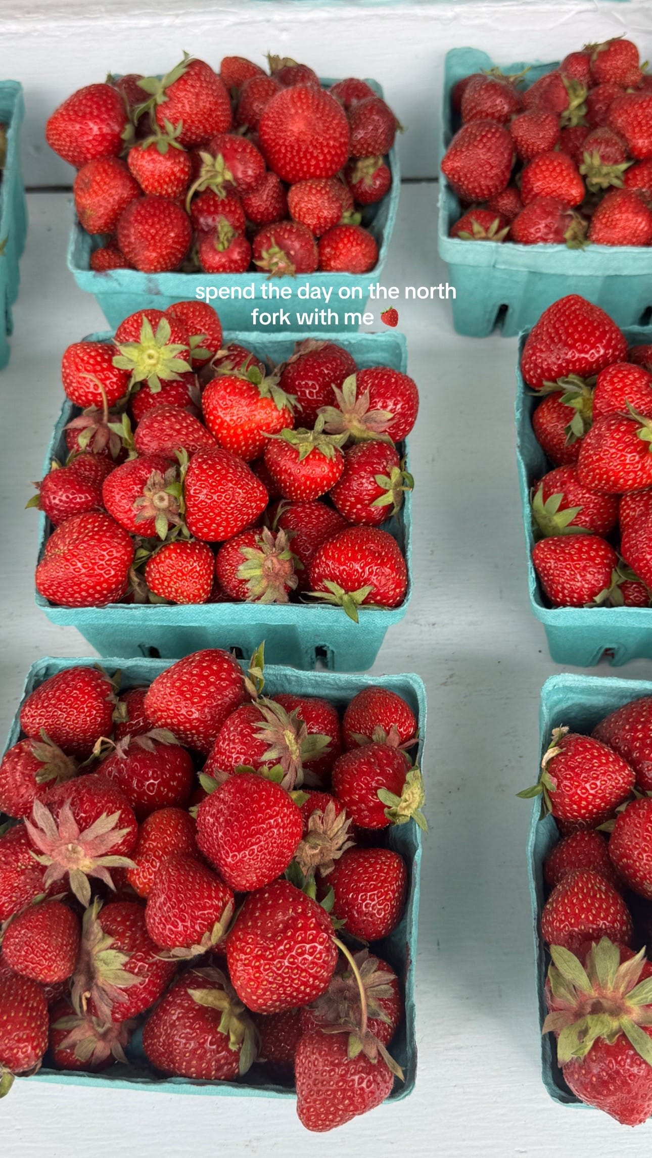 Post 4 by elizgreaves on TikTok (video)