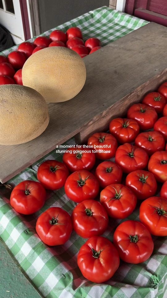Post 6 by elizgreaves on TikTok (video)