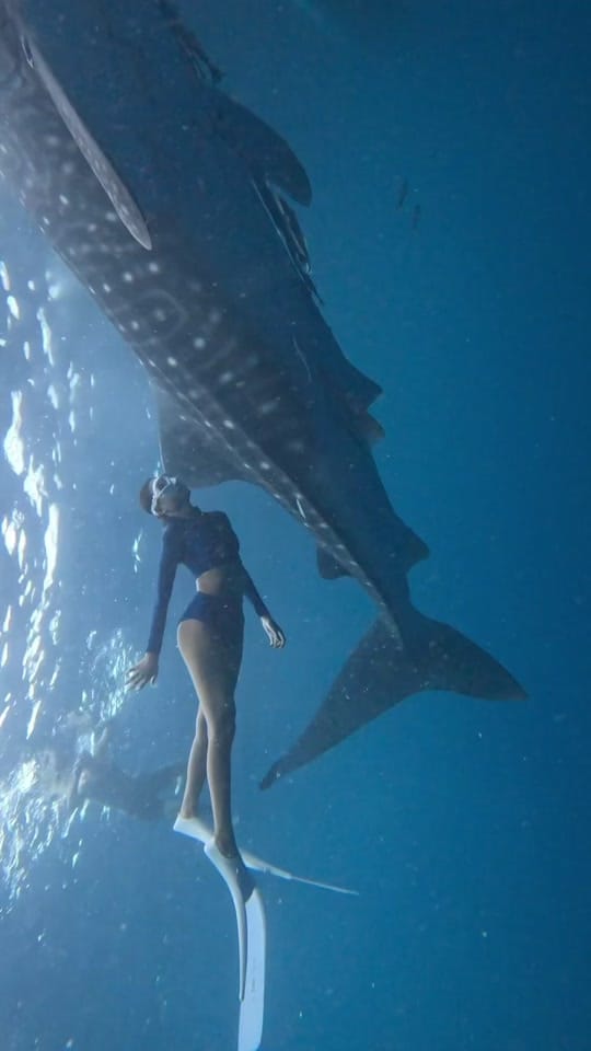 Post 10 by veronica🧜🏻‍♀️ on TikTok (video)
