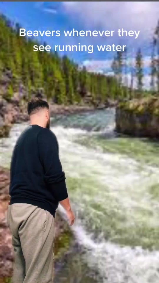 Post 8 by Liam Wain on TikTok (video)