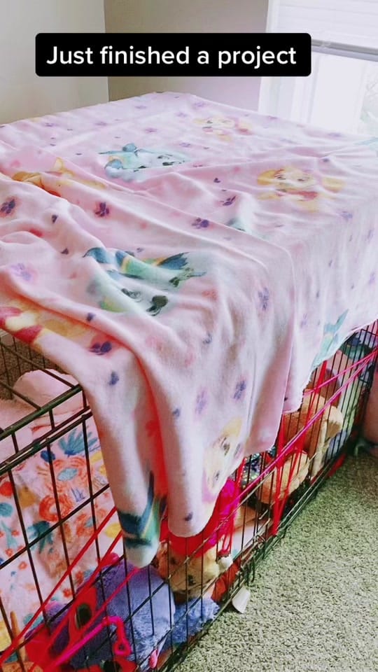 Post 9 by MajinCorpse🦇💀📚 on TikTok (video)