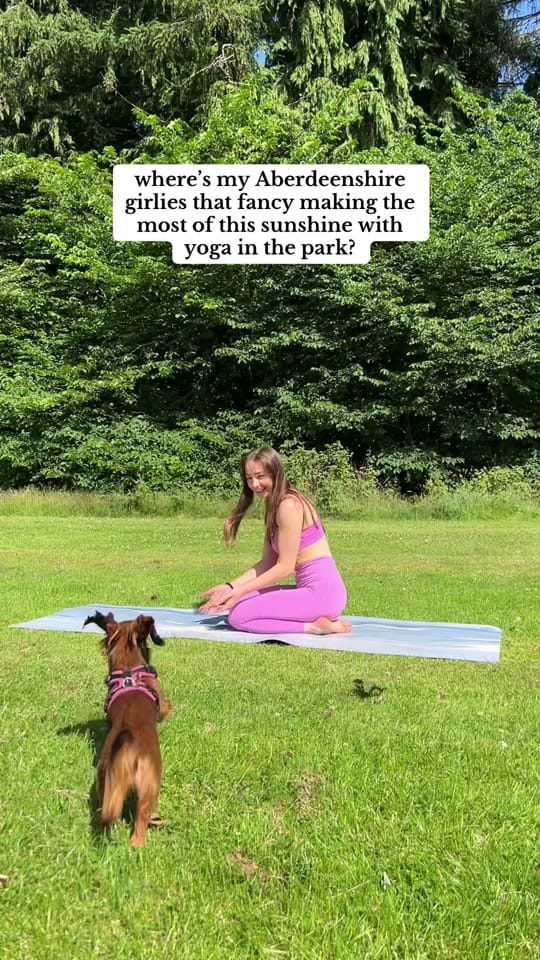 Post 6 by Danielle🌻 on TikTok (video)