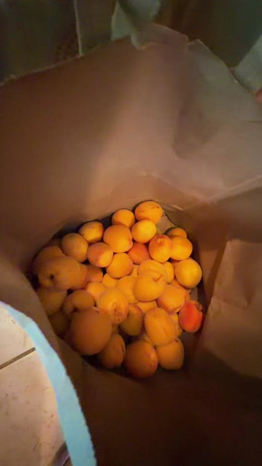 Post 1 by Healingwithinus ☀️😎 Celeste on TikTok (video)