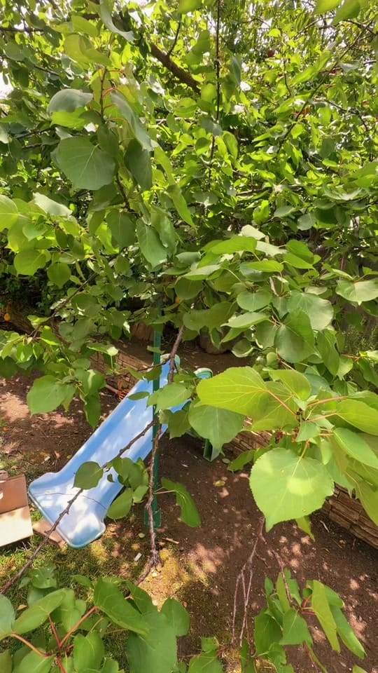 Post 2 by Healingwithinus ☀️😎 Celeste on TikTok (video)