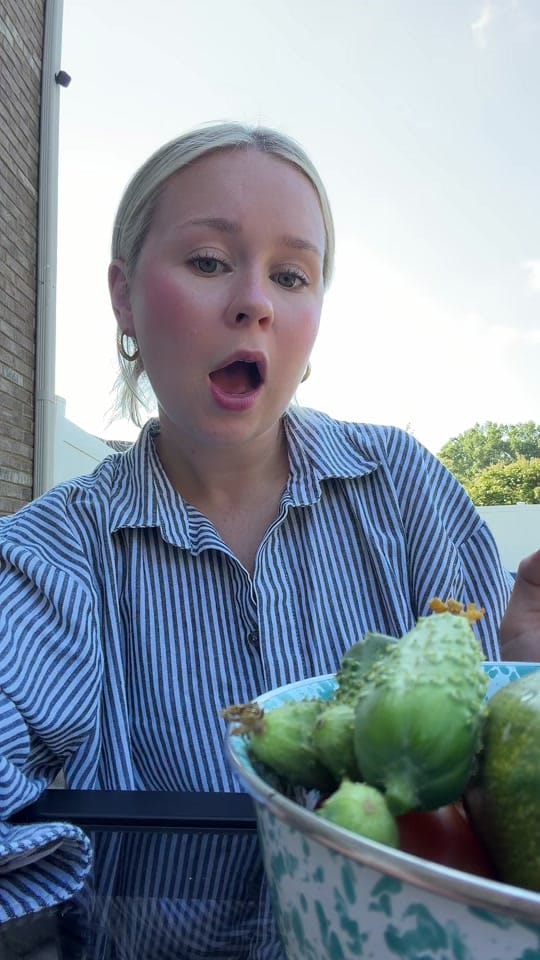 Post 7 by Kaylee Tidwell on TikTok (video)