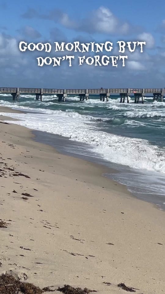 Post 7 by I🐮Move🔐 on TikTok (video)
