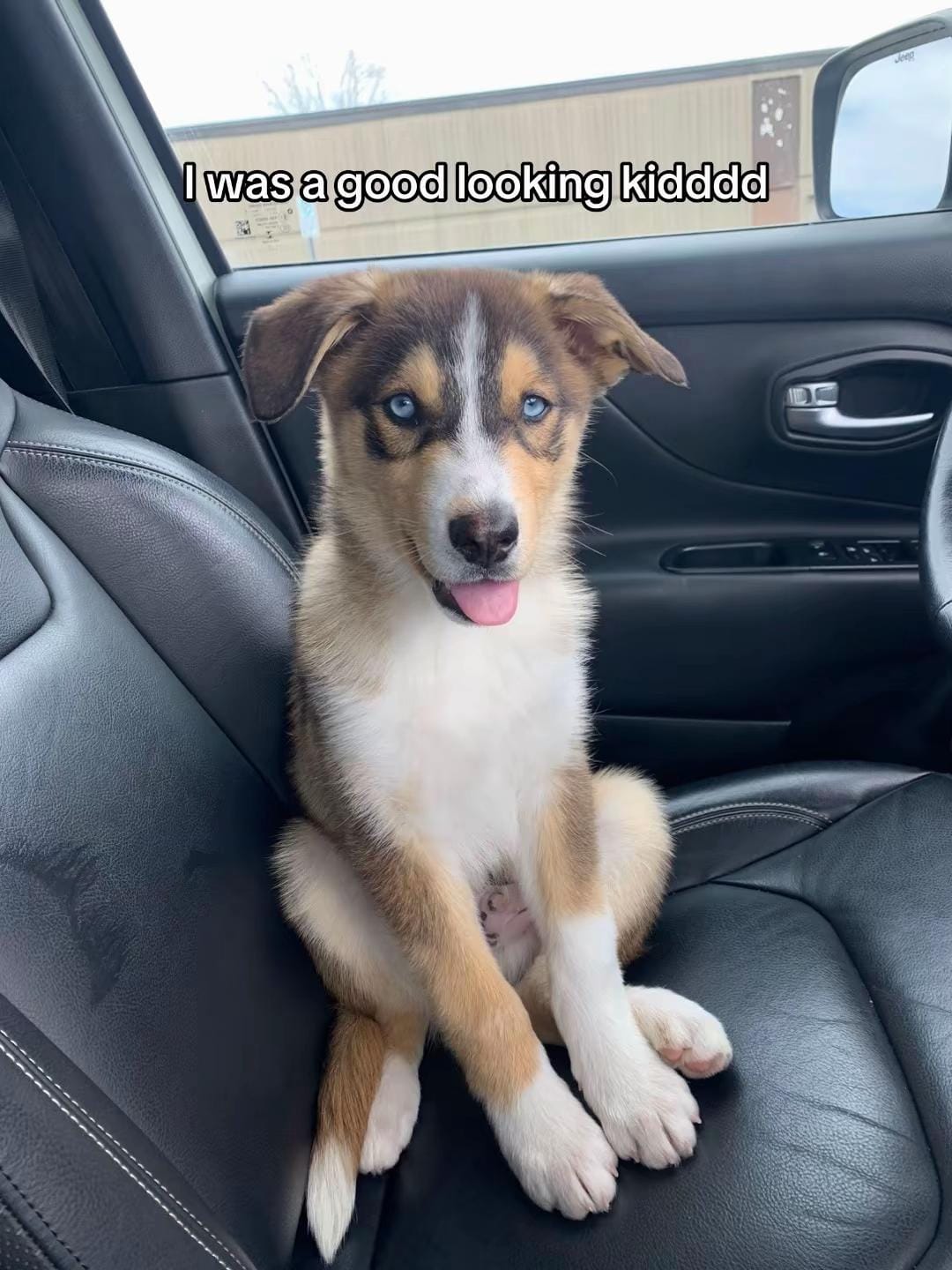 Post 1 by Morgan Ireland on TikTok (video)