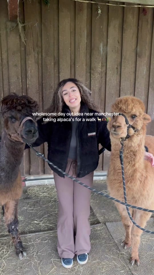 Post 1 by Amy on TikTok (video)