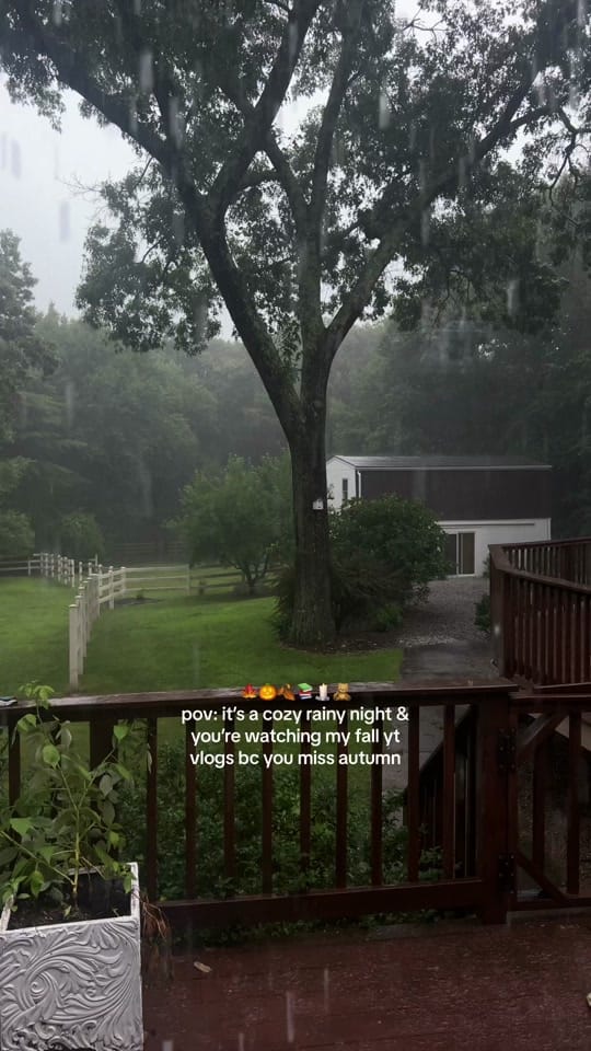 Post 10 by jessie on TikTok (video)