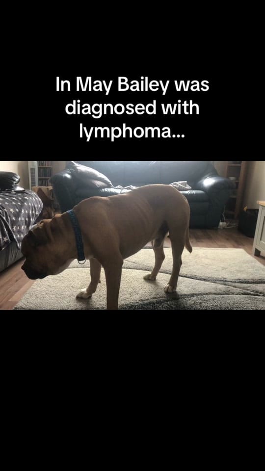 Post 9 by Jadegfitness on TikTok (video)
