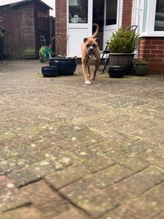 Post 6 by Jadegfitness on TikTok (video)