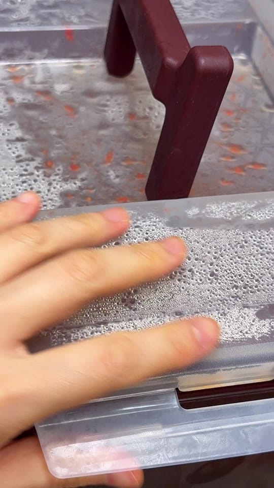 Post 4 by Woogu Cook on TikTok (video)