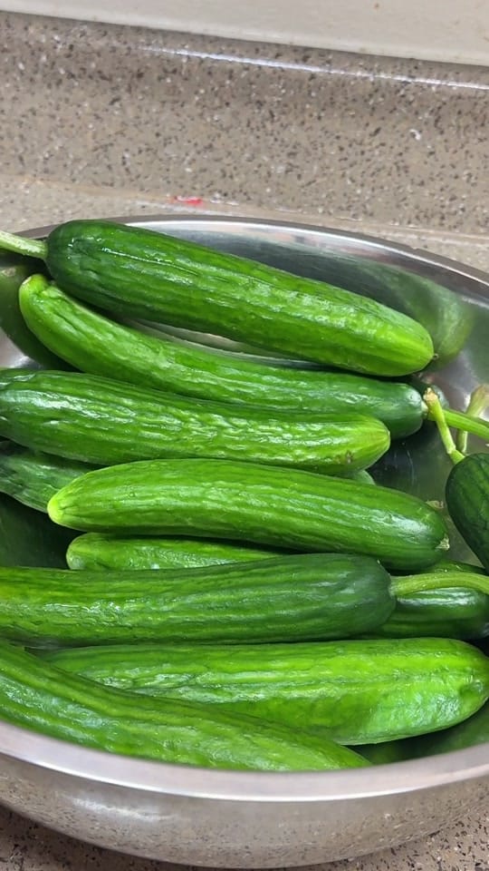 Post 7 by Woogu Cook on TikTok (video)