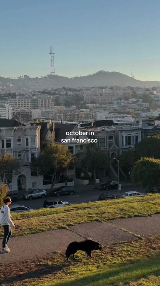 Post 8 by liz on TikTok (video)