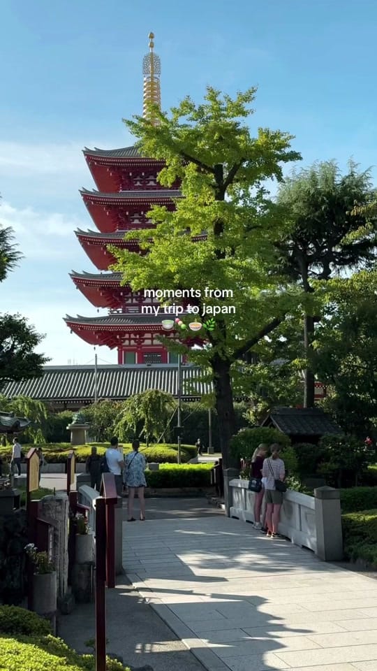 Post 10 by liz on TikTok (video)