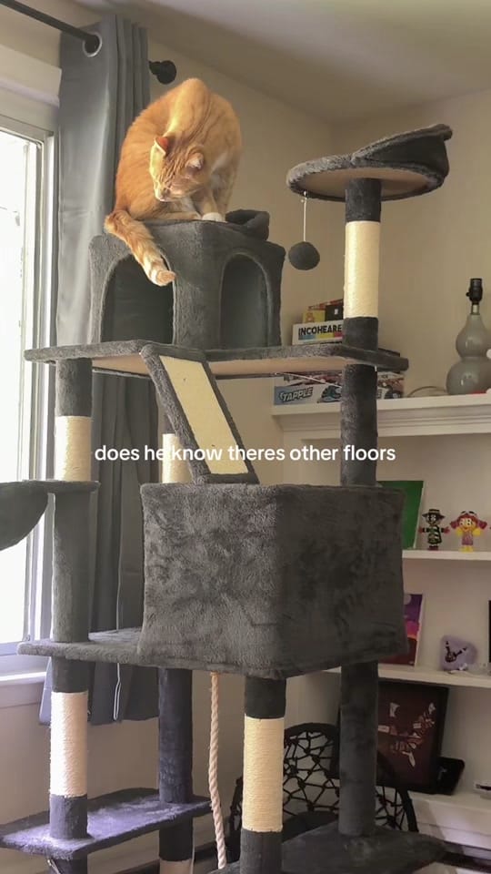Post 3 by Leighton on TikTok (video)