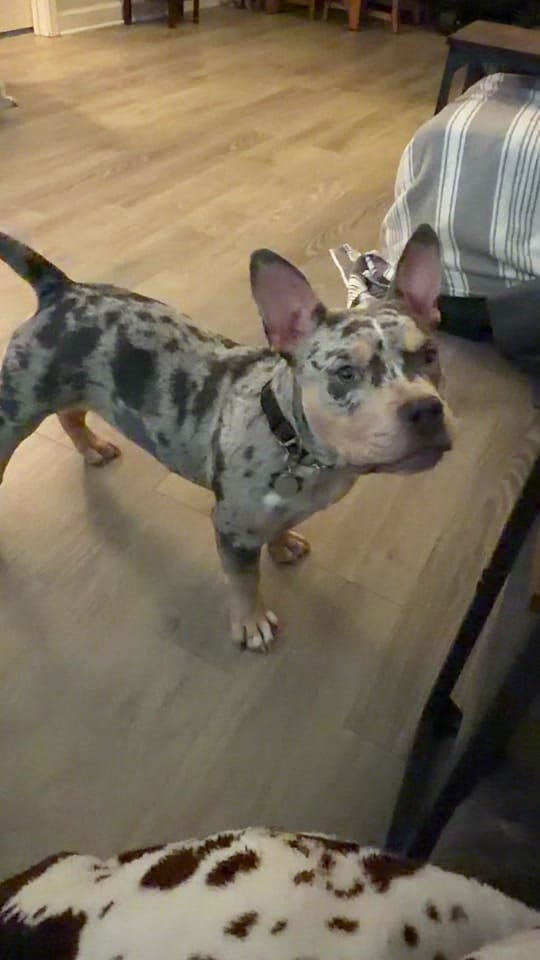 Post 2 by Shannie on TikTok (video)