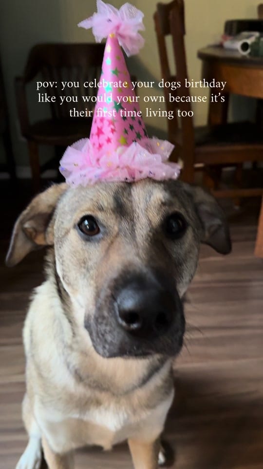 Post 5 by lizzy jayn on TikTok (video)