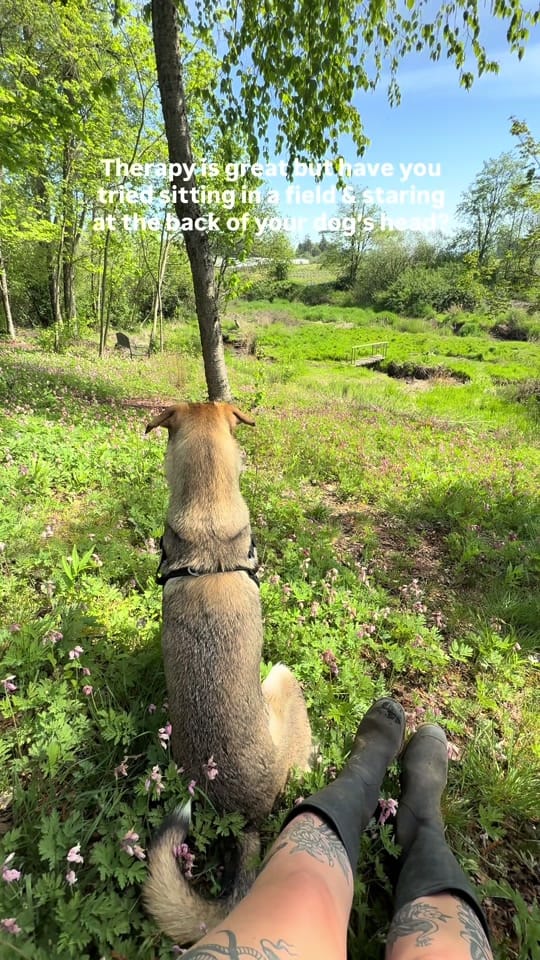 Post 9 by lizzy jayn on TikTok (video)
