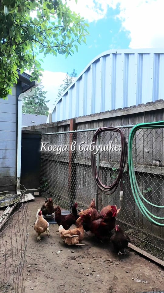 Post 6 by SimplySolovey on TikTok (video)
