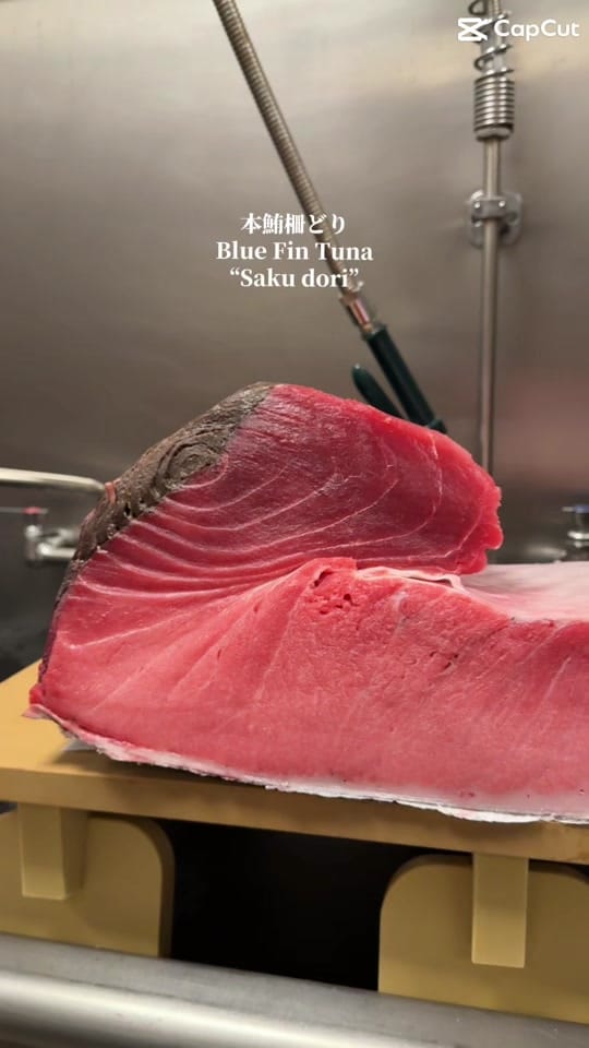 Post 1 by Nigirikuni on TikTok (video)