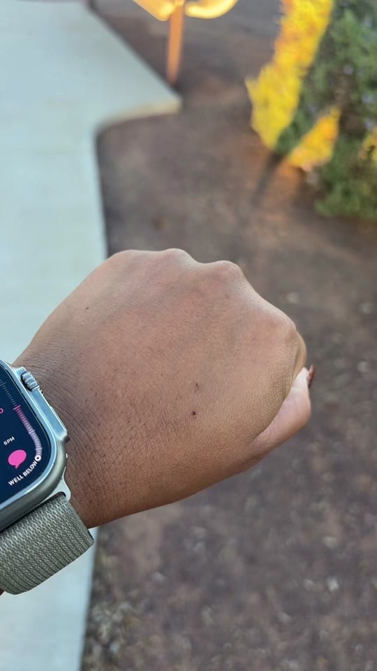 Post 7 by Chelsea Gonzales on TikTok (video)