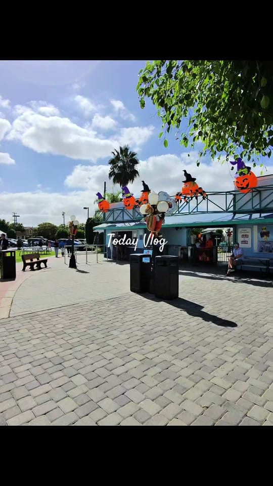 Post 6 by Chelsea Gonzales on TikTok (video)
