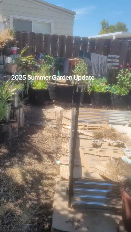 Post 3 by iAmturtleluv29💦 on TikTok (video)