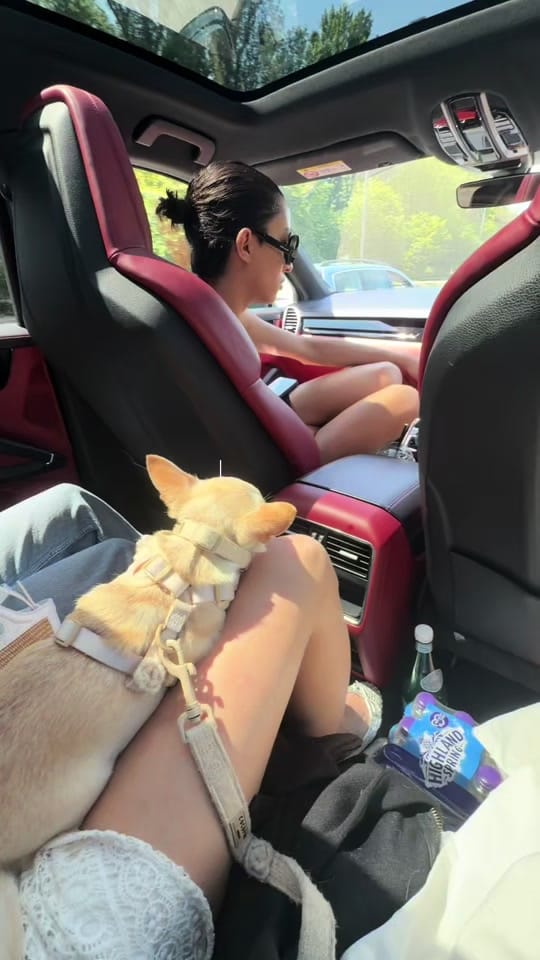 Post 7 by Lydia Rose ❤️ on TikTok (video)