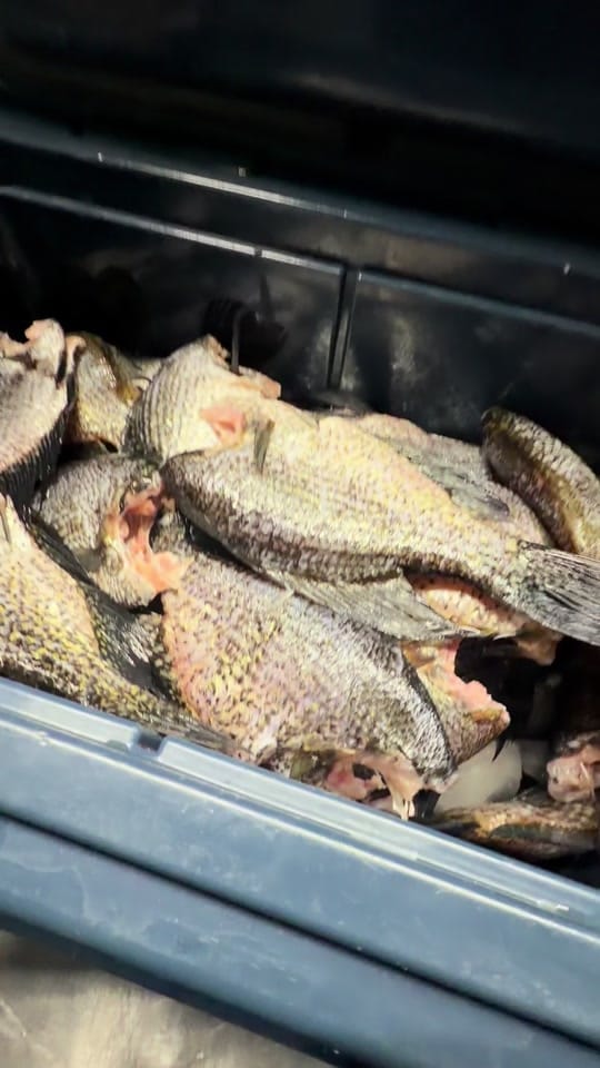Post 5 by Corwin’s Catering on TikTok (video)