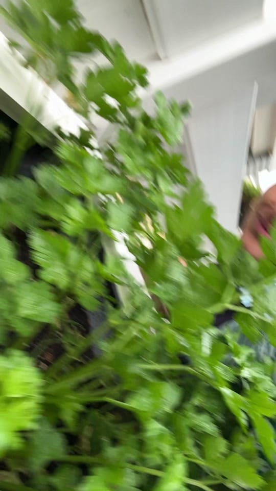 Post 6 by thefooddragon on TikTok (video)