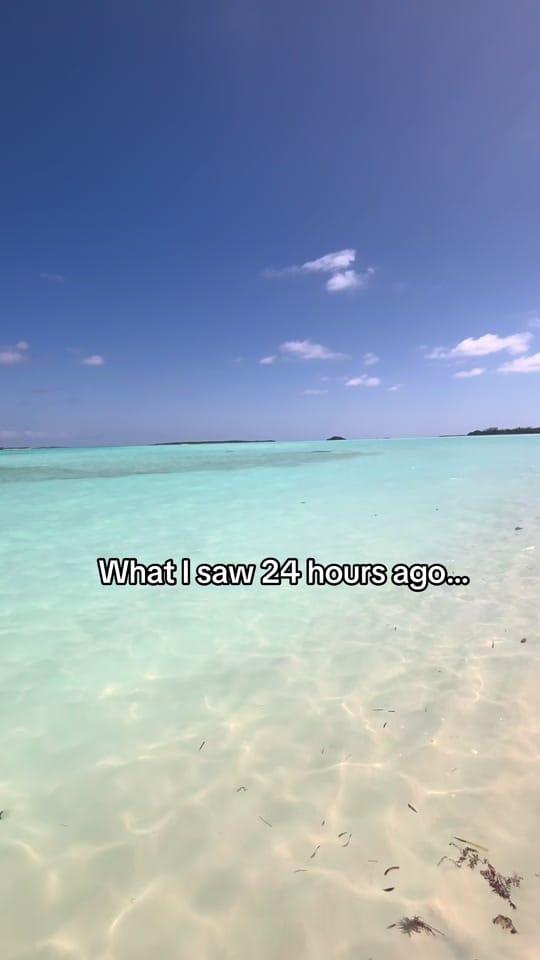 Post 10 by emily_mccoy on TikTok (video)