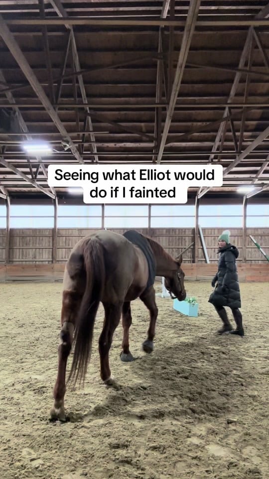 Post 9 by emily_mccoy on TikTok (video)