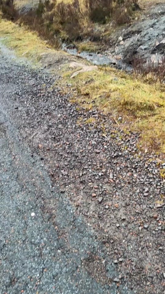 Post 5 by Scottish ravewalker on TikTok (video)